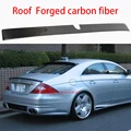 Roof Forged carbon