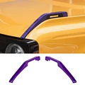 1 Pair Purple