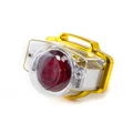 Transparency Gold