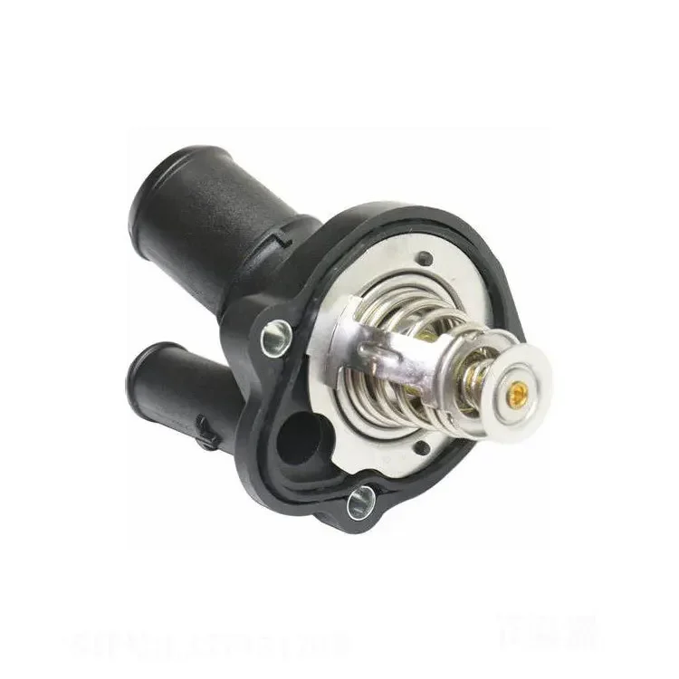 Detalle de la carcasa del termostato
