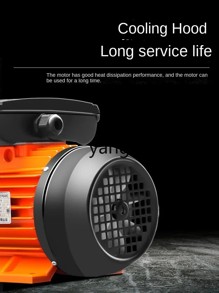 Motor Horizontal Monofásico Asíncrono CX - imagen 4