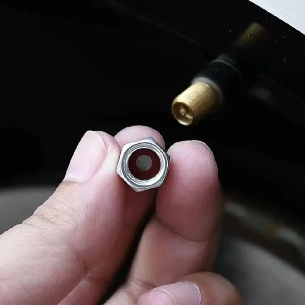 Para BYD Equation tapa de válvula de leopardo leopardo 5 neumático de coche antirrobo tapa de válvula especial leopardo 8 productos decorativos modificados - imagen 4