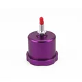 Morado