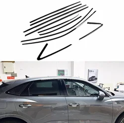Moldura de ventana negra brillante para Audi Q3 Sportback 2020-2024
