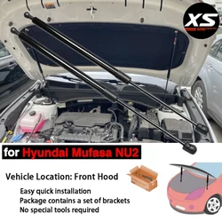 Amortiguadores capó Hyundai Mufasa NU2 2023-2025 – Kit puntales elevación