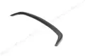 Tail Watermark