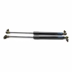 Amortiguadores de portón trasero de gas para Passo AC10 y Boon/Sirion