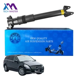 Amortiguador suspensión neumática trasera Tech Master 2513200631