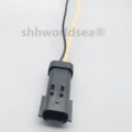 30pcs male