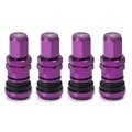 Purple With PQY Logo