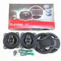TS-A1096S 4 inch