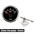 BS1 Sensor custom