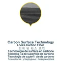 Type Y Carbon paint