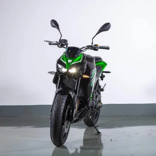 Nuevo Vehículo de dos ruedas de motocicleta de carreras eléctrica rápida china de 5000W de alta calidad con freno de disco (delantero/trasero) certificado EEC - imagen 2