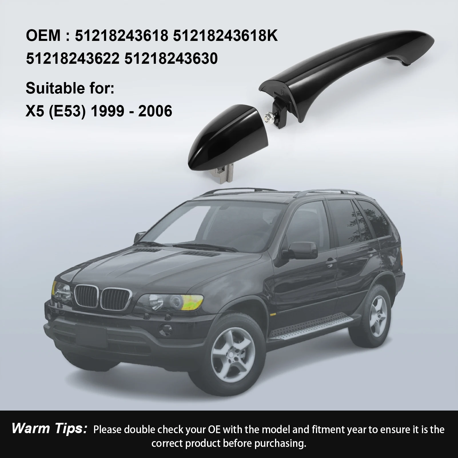 Manija de puerta delantero derecho X5 E53