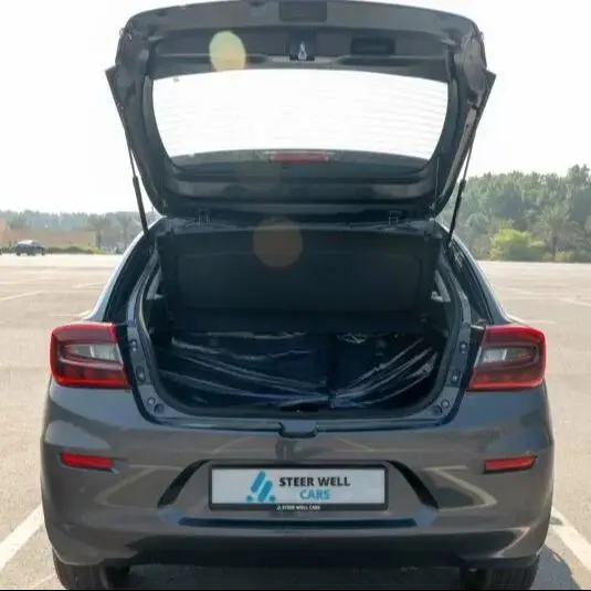 Amortiguadores automáticos de maletero Suzuki Baleno WB2 2022