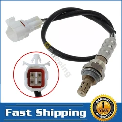 Sensor de oxígeno 2344080 para Suzuki Grand Vitara 2.5 (2001-2005)