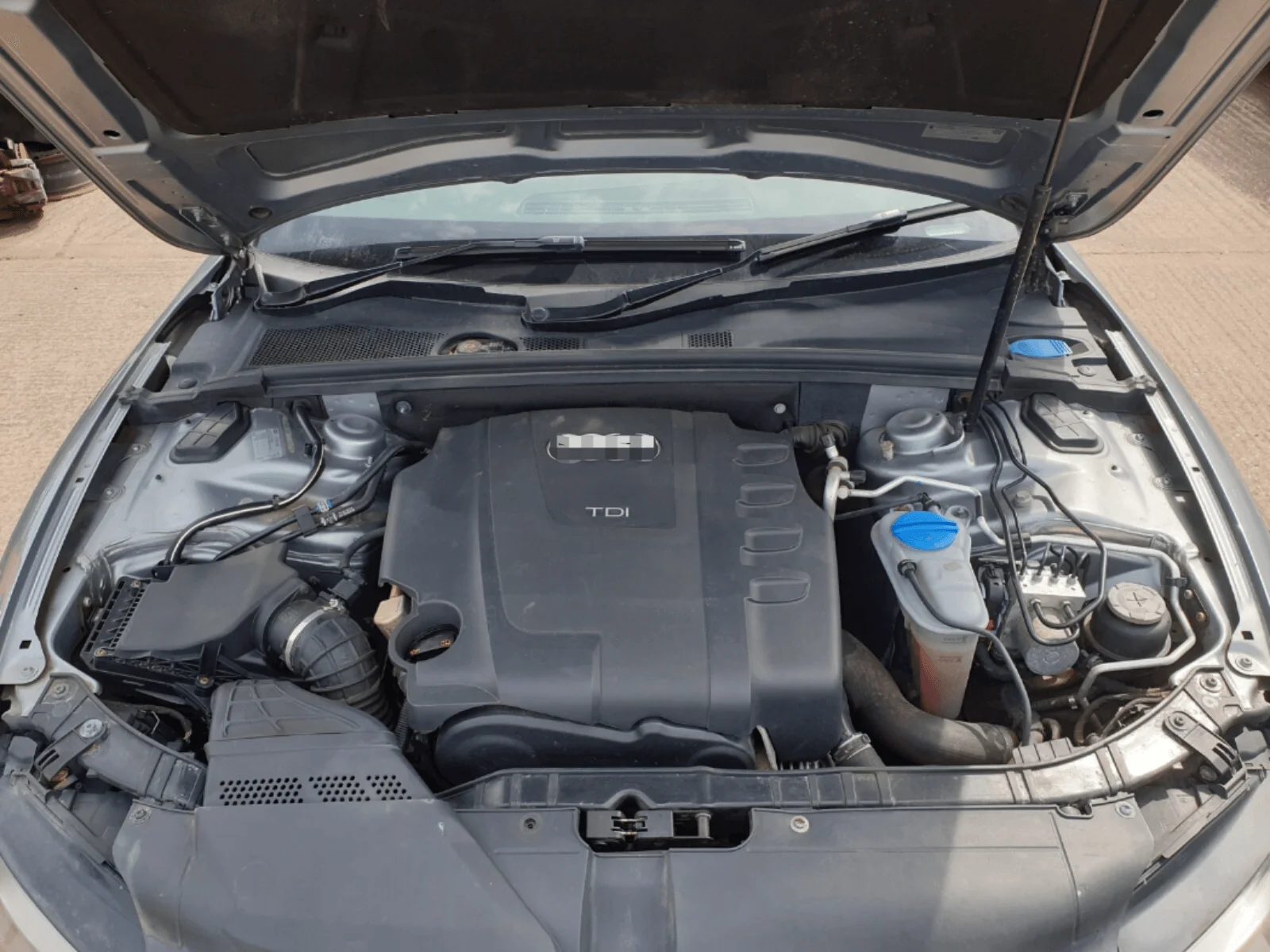 Amortiguador de gas para capó Audi A5 8T/8F (2007-2016)
