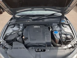 Amortiguador de gas para capó Audi A5 8T/8F (2007-2016)