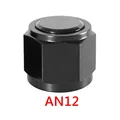 AN12