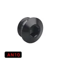 AN10