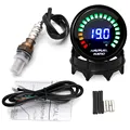 Gauge With Sensor 2