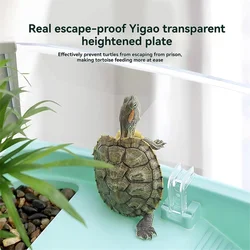 Acuaterrario transparente para tortugas con zona de asoleo