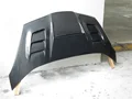 engine hood 1