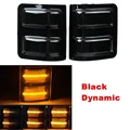 Black Dynamic