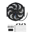 10 Fan
