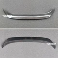 carbon fiber