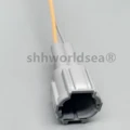 2pcs male