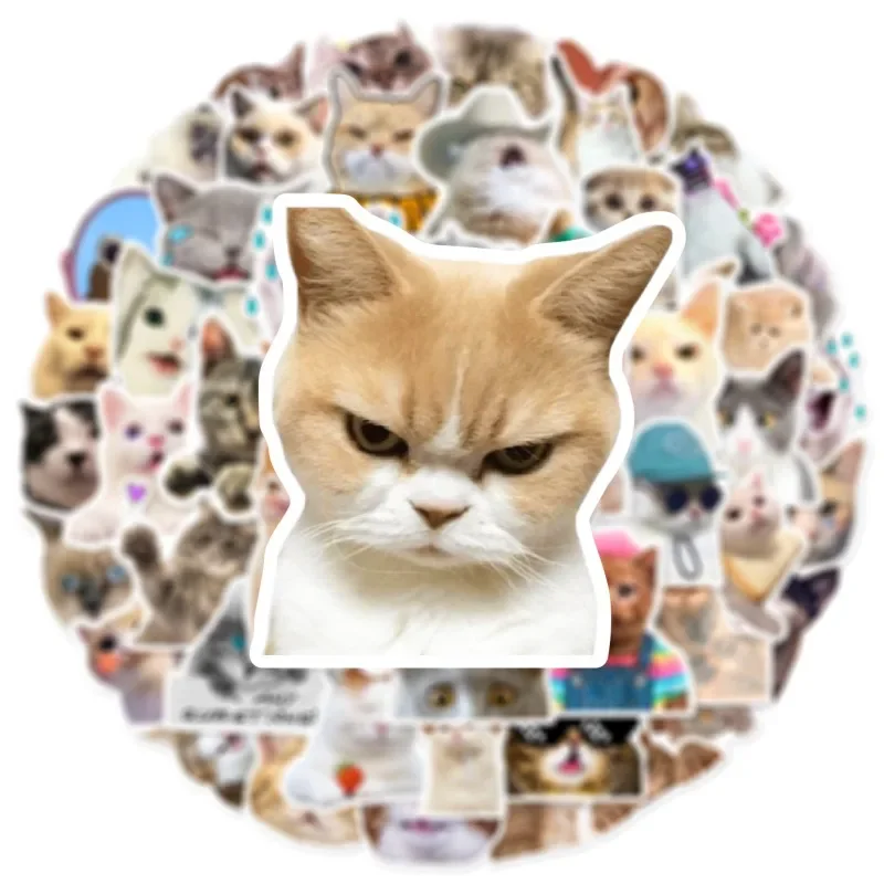 Pegatinas de gato para casco y moto, impermeables antirrayaduras