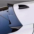 roof  glossy Black
