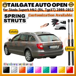 Amortiguadores de portón trasero Skoda Superb Combi II (2008-2015)