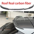 Roof Carbon Fiber