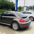 Brown with black