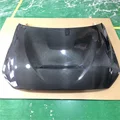 Wet Carbon fiber2