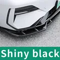 Shiny black