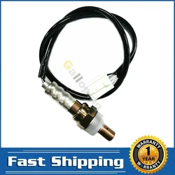WO163304 Sensor lambda delantero 4 cables – OEM 8946-04010