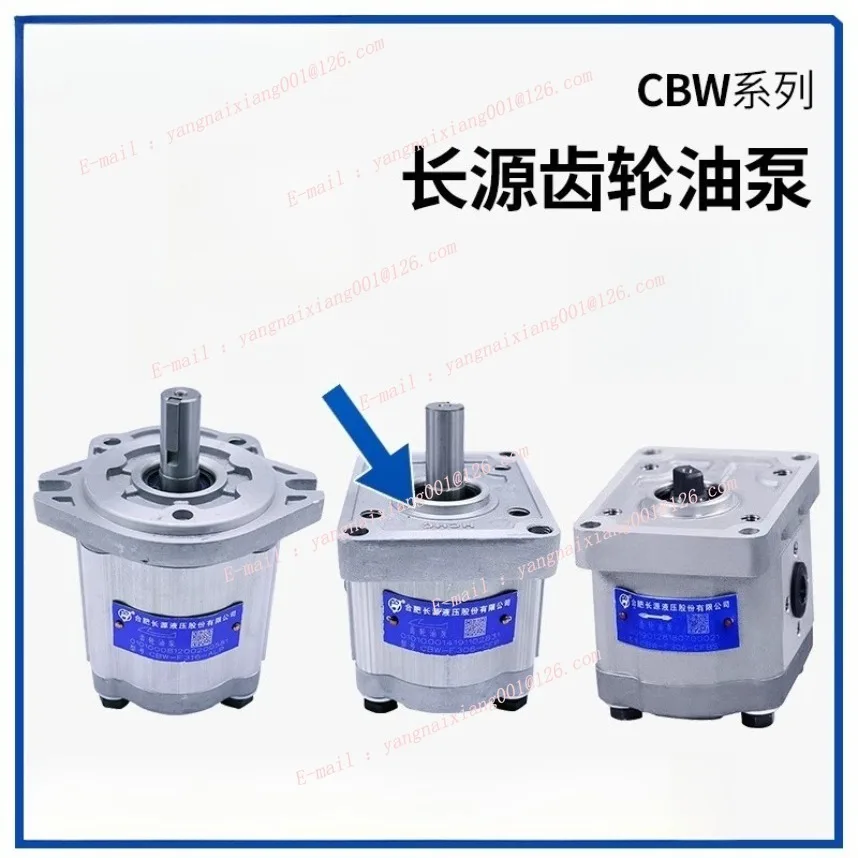Bomba de engranajes CBW con manguito acoplado – F304/306/310/316/320