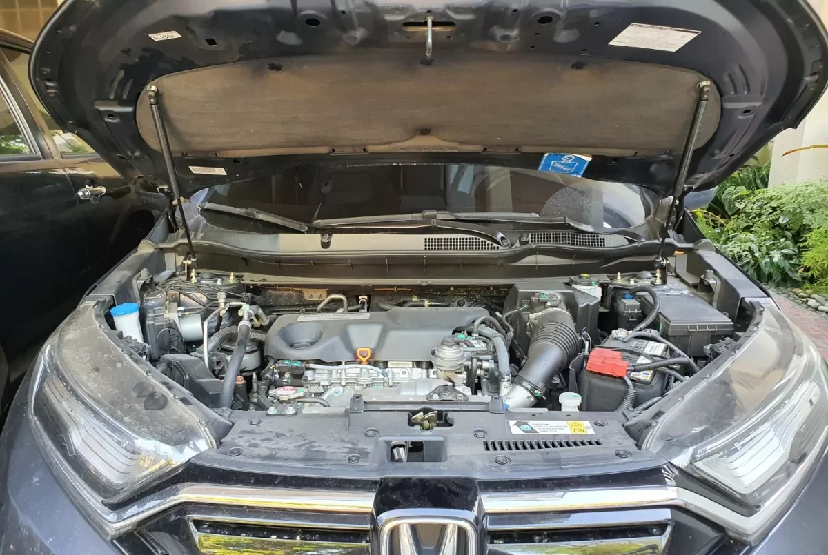 Puntales de gas soporte elevación capó delantero Honda CR-V 2017-2022