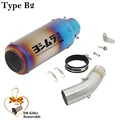 Type B2