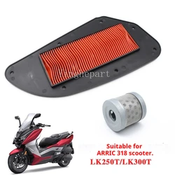 Filtros de aceite y aire ARRIC para Chinf318 LK300T