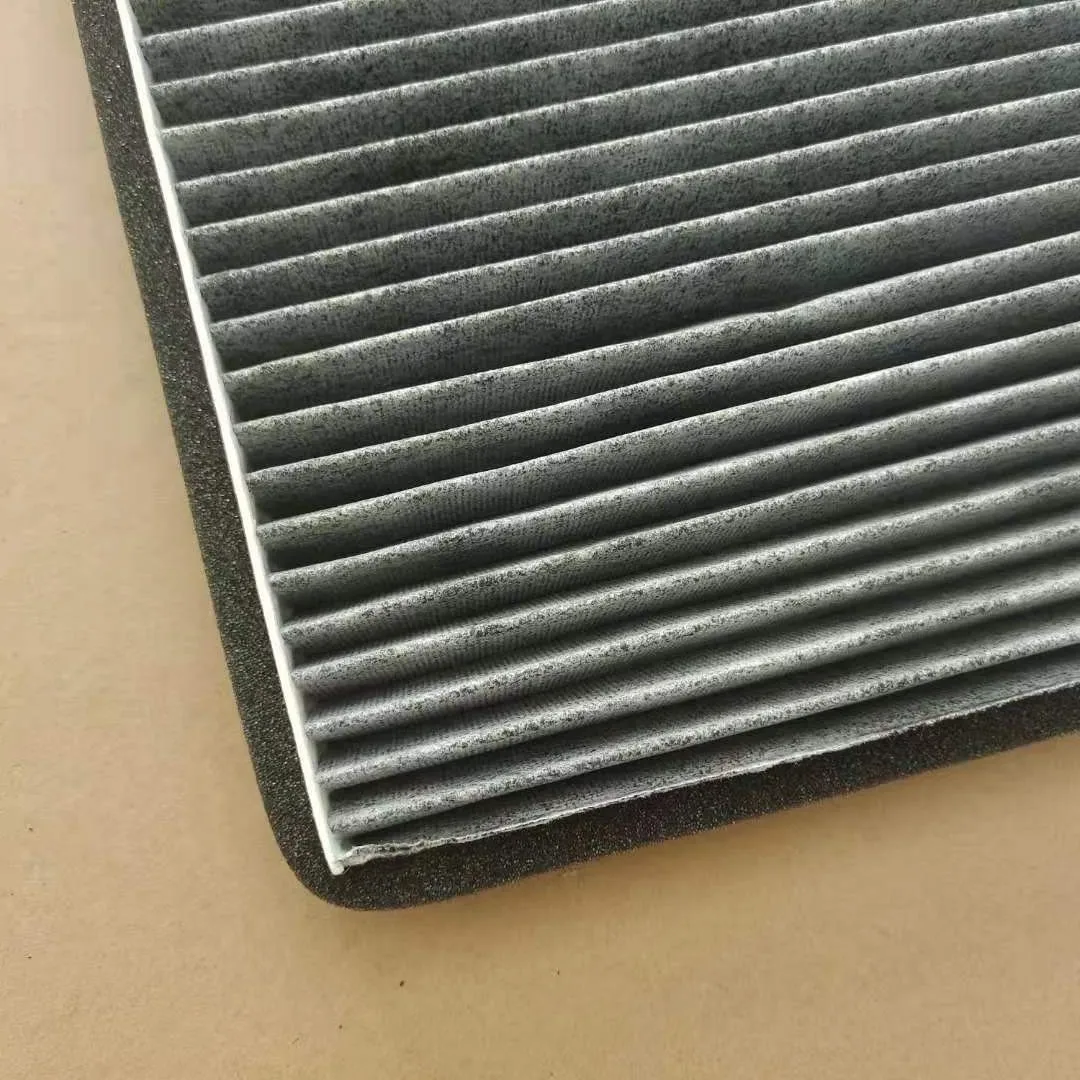 Filtro habitáculo carbono BMW X5 E53 – 3.0 4.4 4.6 4.8 - imagen 4