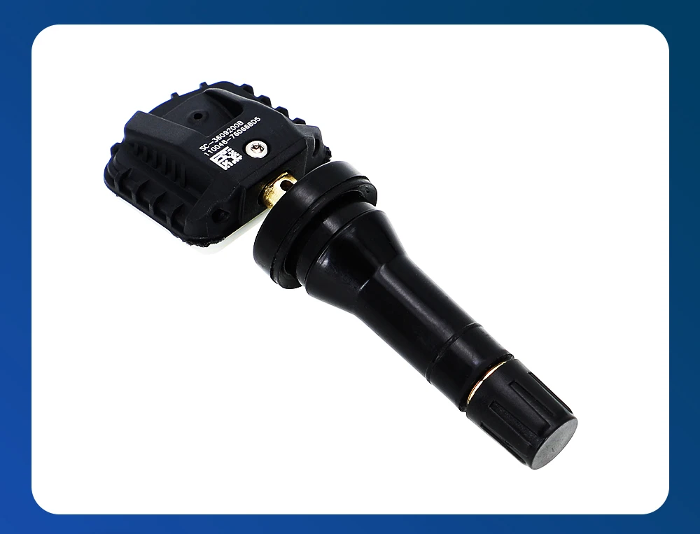 Compatibilidad BYD