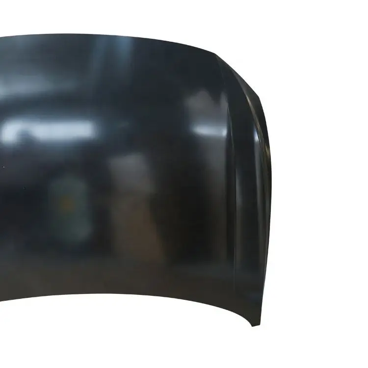 19G823031B Capó delantero OE para E-Bora - imagen 4
