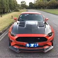 Carbon Fiber