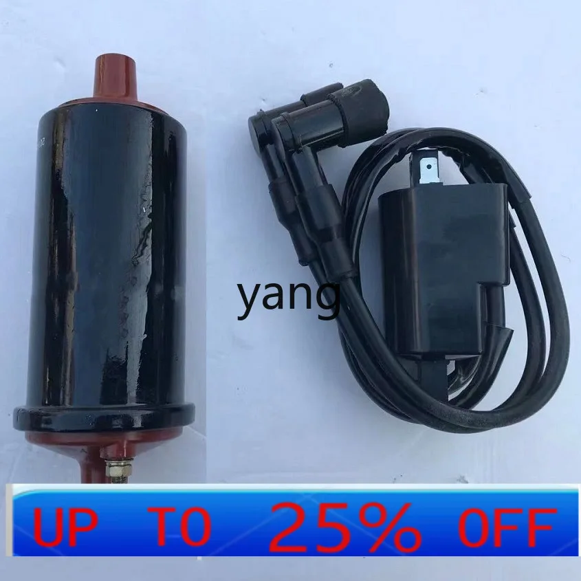 Bobina de encendido CX 12 V doble salida para Hailing Xiangjiang 750