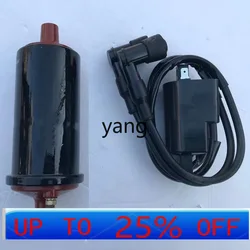 Bobina de encendido CX 12 V doble salida para Hailing Xiangjiang 750